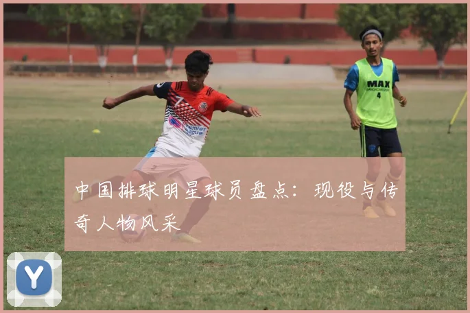 中国排球明星球员盘点：现役与传奇人物风采
