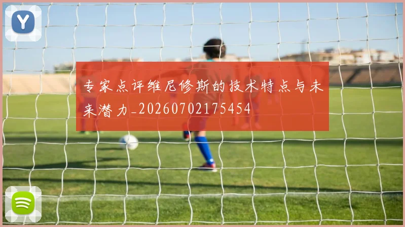 专家点评维尼修斯的技术特点与未来潜力_20260702175454