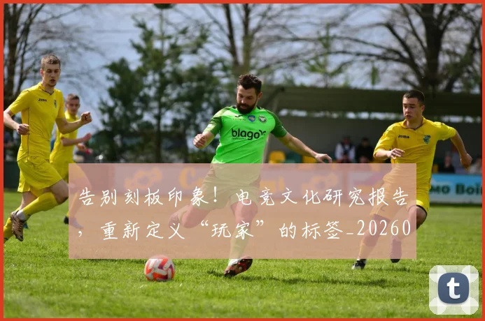 告别刻板印象！电竞文化研究报告，重新定义“玩家”的标签_20260704175551