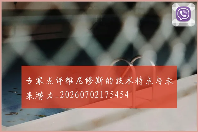 专家点评维尼修斯的技术特点与未来潜力_20260702175454